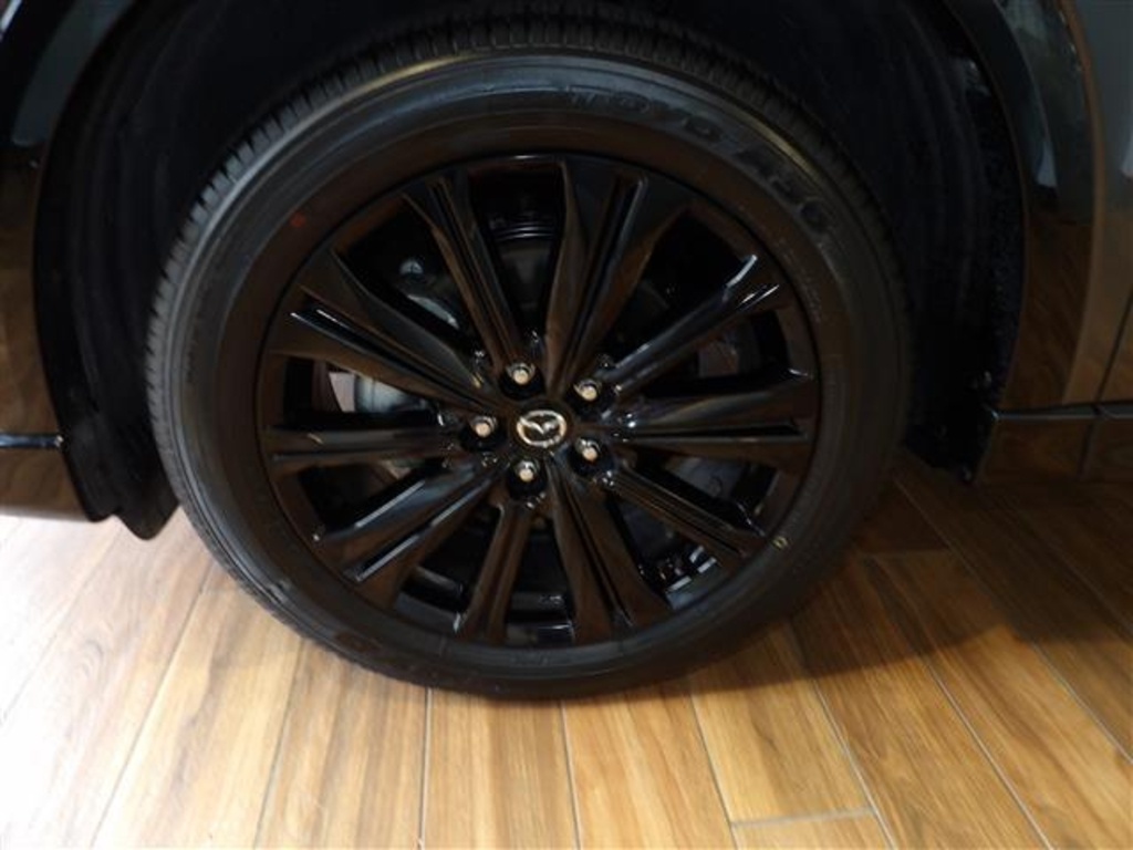 2025 Mazda CX-5 2.5 Turbo Premium photo 10