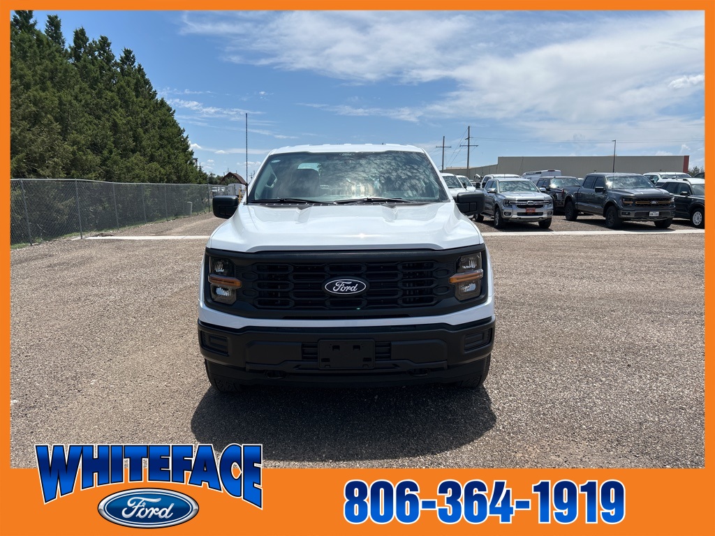 2025 Ford F-150 XL photo 9