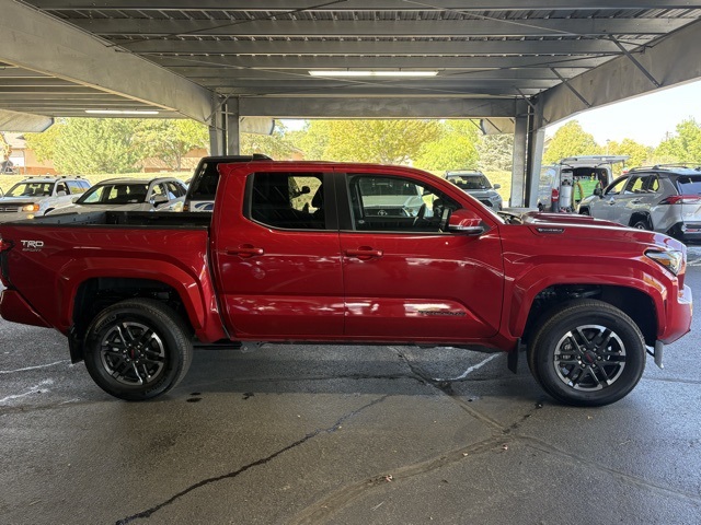 2024 Toyota Tacoma TRD Sport photo 4