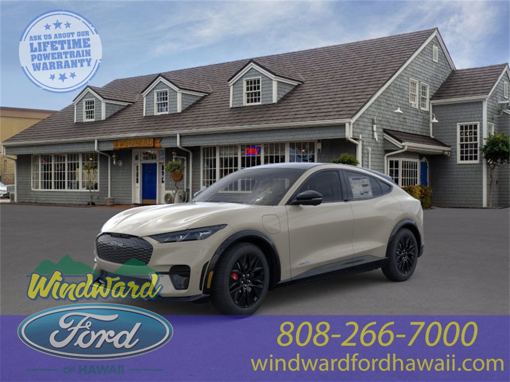 2025 Ford Mustang Mach-E Premium RWD's photo