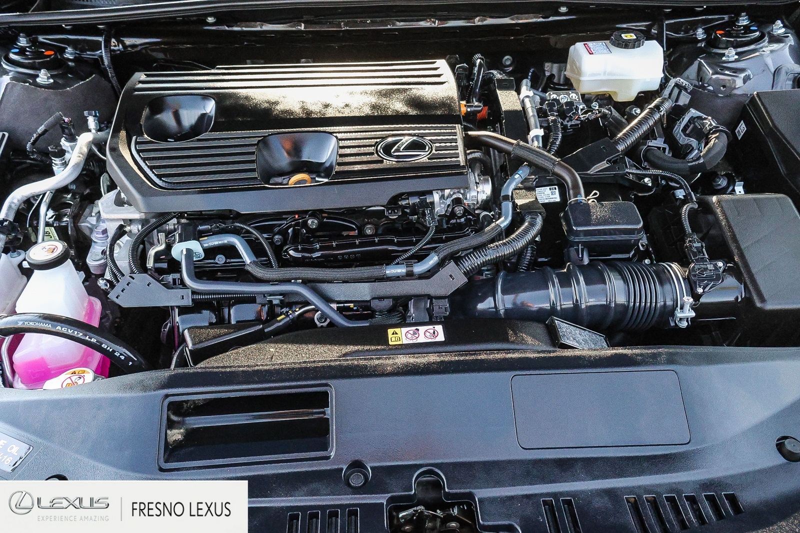 2025 Lexus ES 300h photo 24