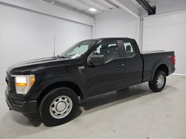 2021 Ford F-150 XL's photo