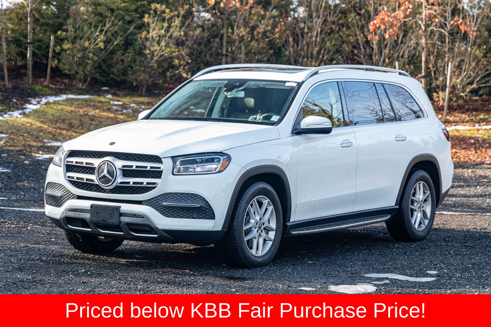 2020 Mercedes-Benz GLS GLS450's photo