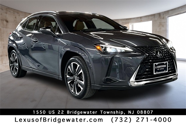 2023 Lexus UX Hybrid 250h Premium's photo