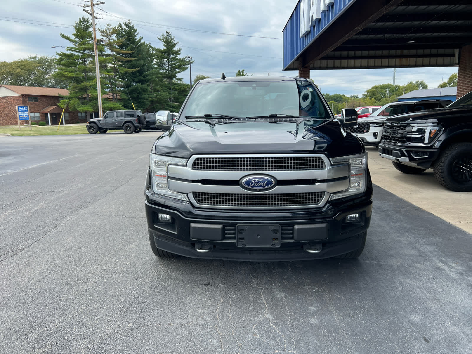 2018 Ford F-150 Platinum photo 3
