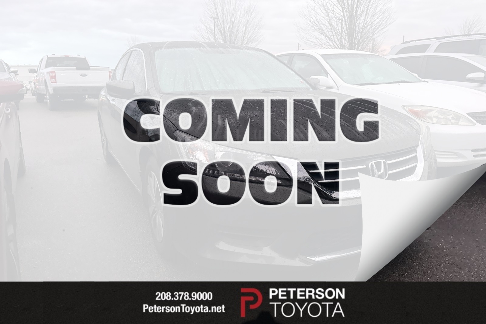 2014 Honda Accord LX's photo