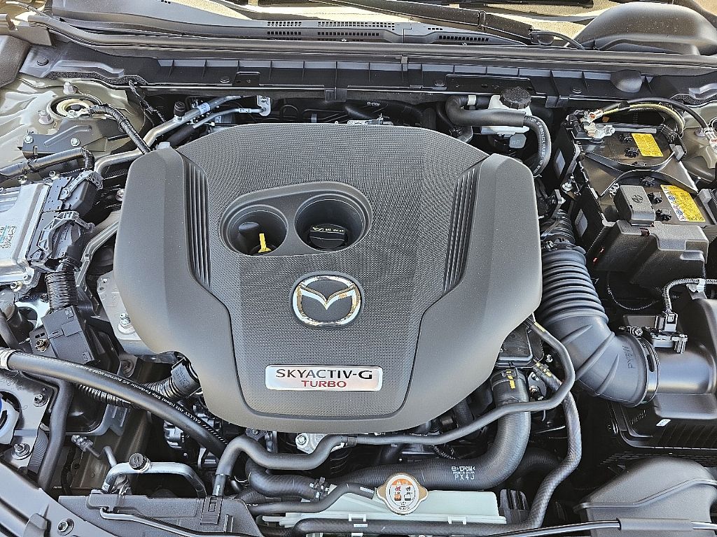 2025 Mazda Mazda3 2.5 Turbo Carbon photo 14