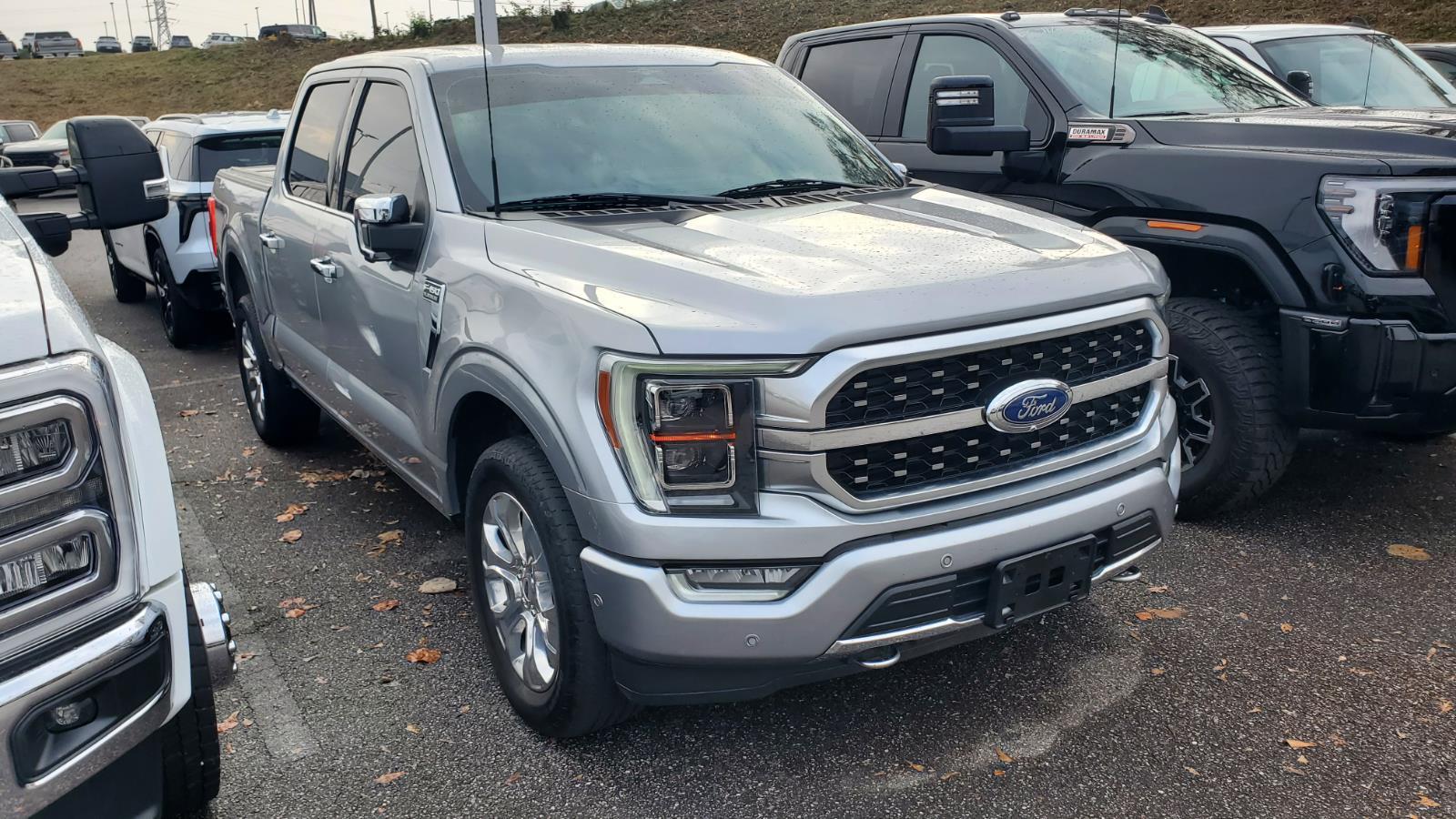 2023 Ford F-150 Platinum photo 2