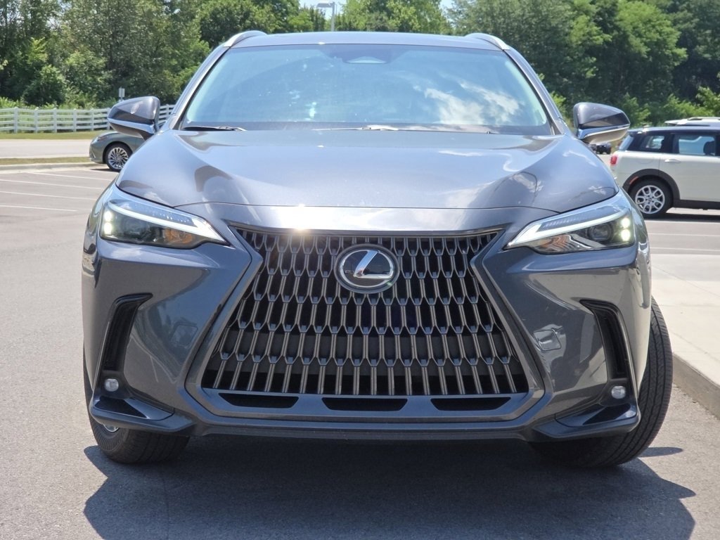 2024 Lexus NX 350h photo 3