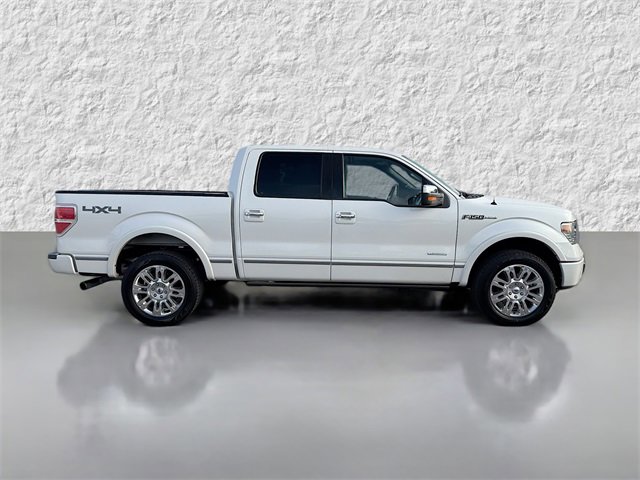2014 Ford F-150 Platinum photo 2