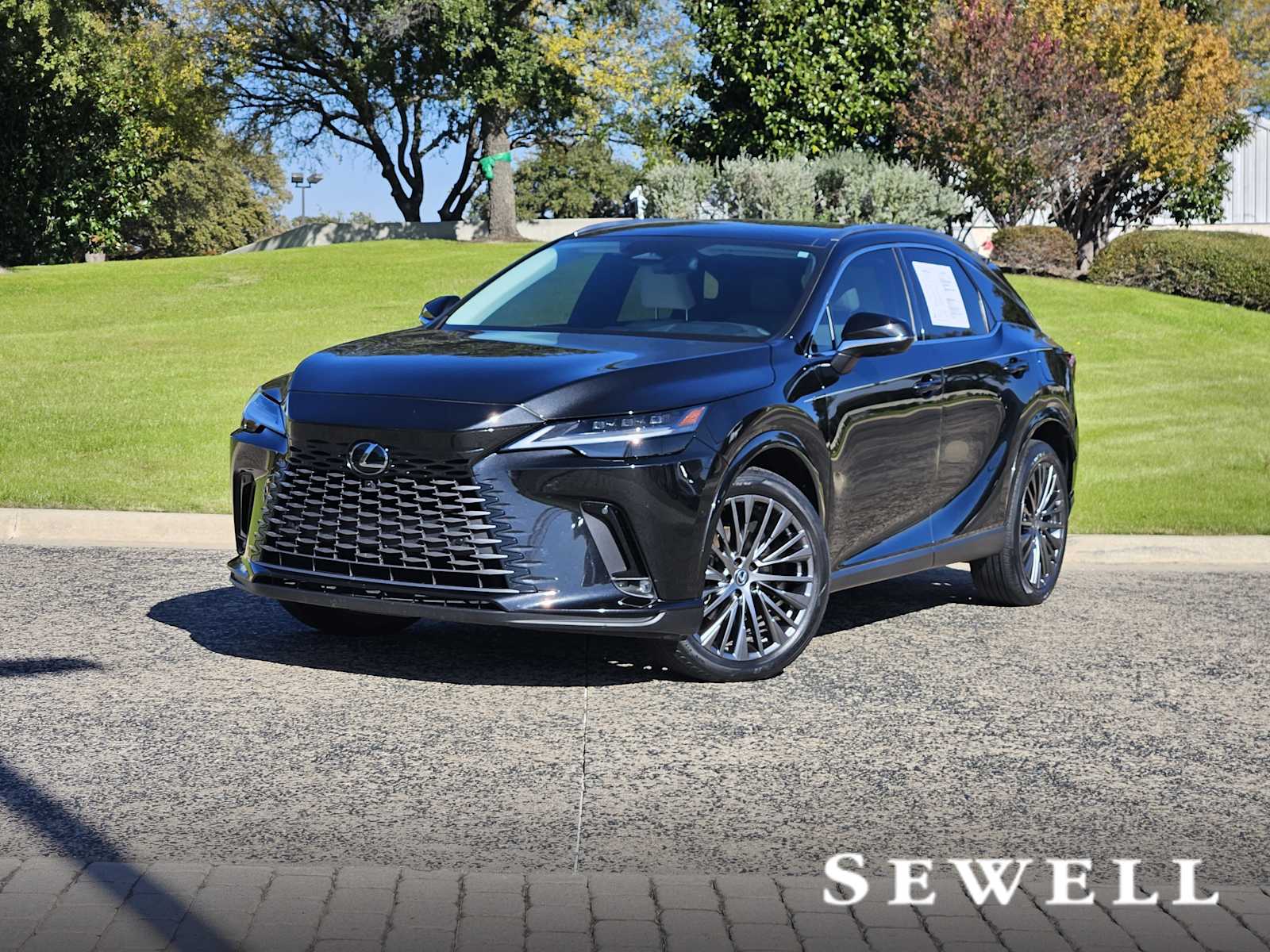 2023 Lexus RX Hybrid 350h's photo