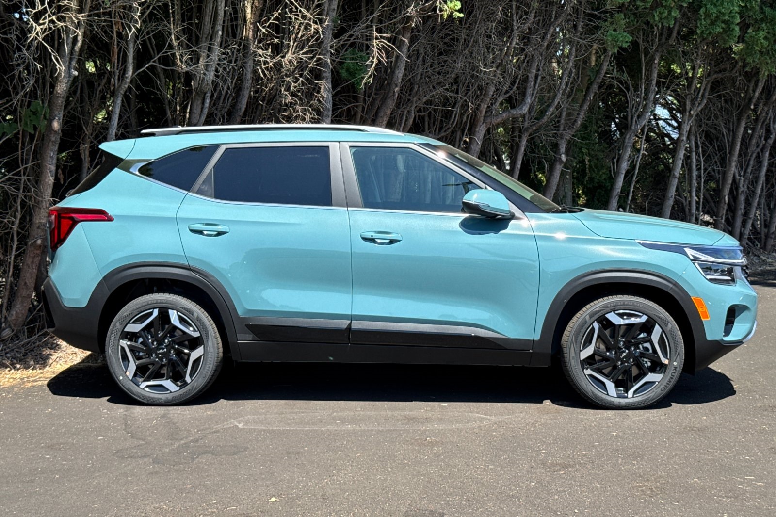 2026 Kia Seltos SX photo 2