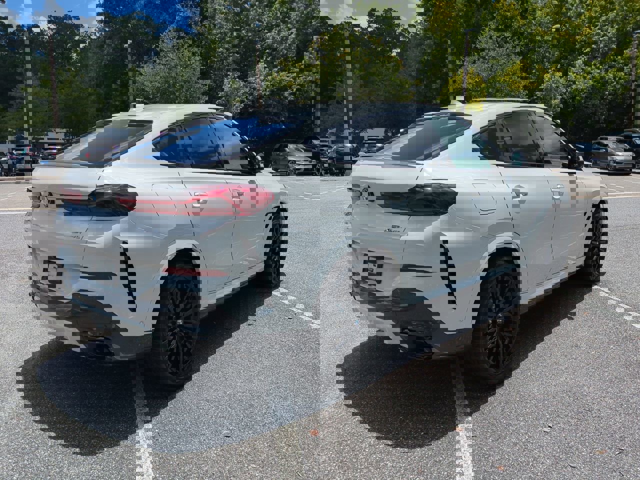2021 Bmw X6 xDrive40i photo 5