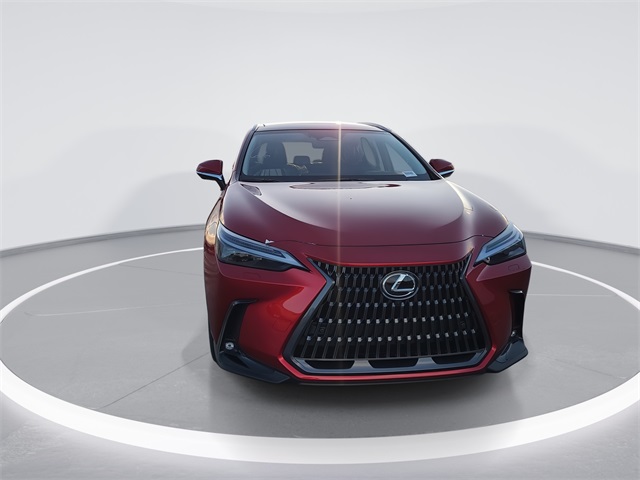 2026 Lexus NX Luxury photo 2
