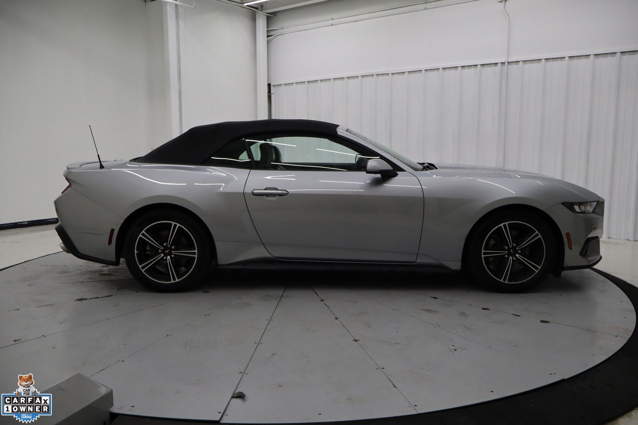 2024 Ford Mustang EcoBoost Premium photo 2