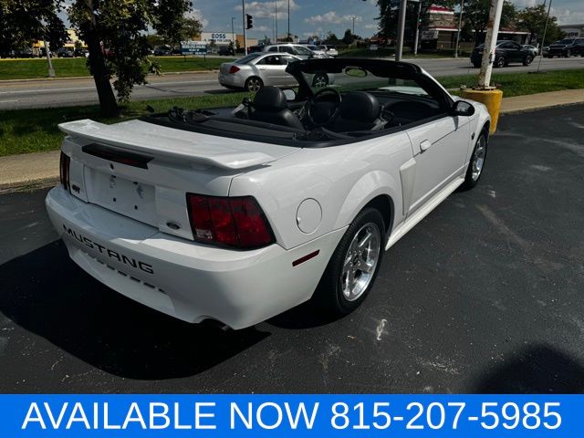 2004 Ford Mustang GT photo 11