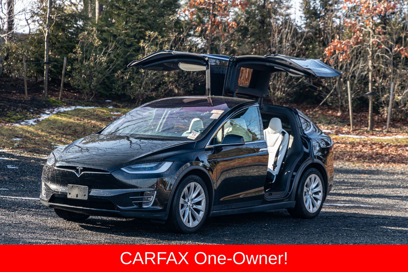 2018 Tesla Model X 75D's photo