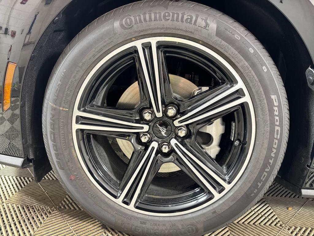 2025 Ford Mustang EcoBoost Premium photo 9