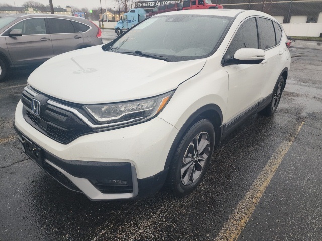 2020 Honda CR-V EX-L's photo
