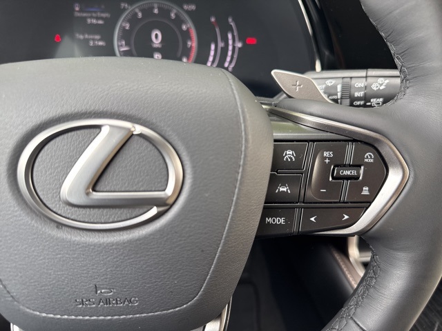 2024 Lexus RX 350 photo 28