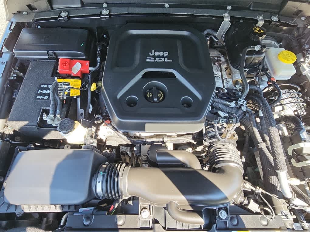 2021 Jeep Wrangler Islander photo 16