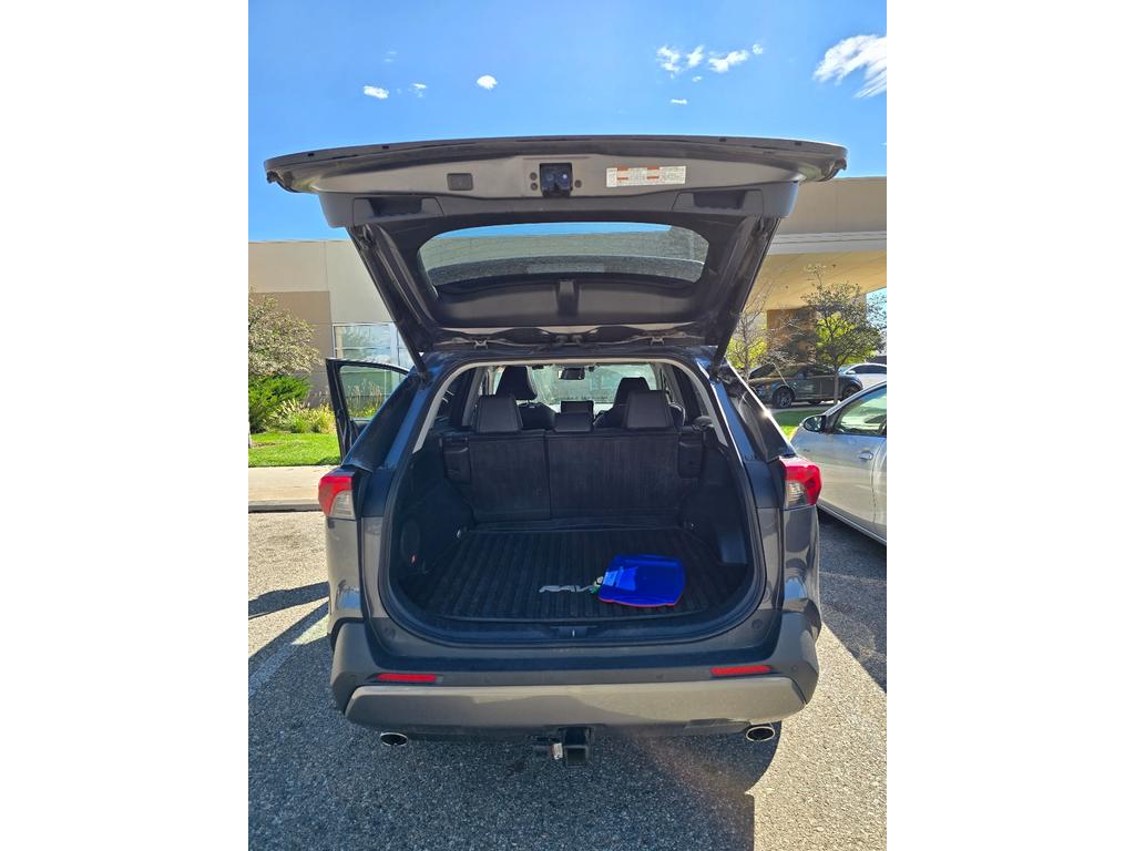 2019 Toyota RAV4 Hybrid Limited photo 3