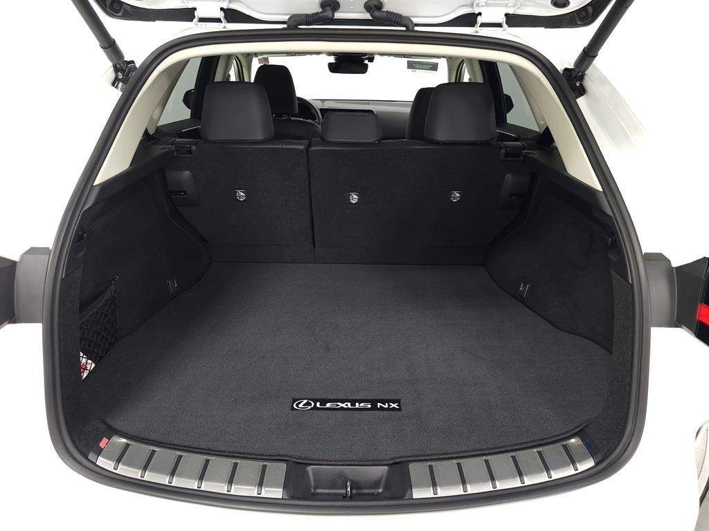 2024 Lexus NX 250 Premium photo 8