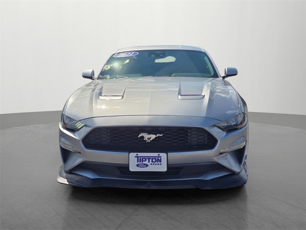 2021 Ford Mustang EcoBoost photo 2