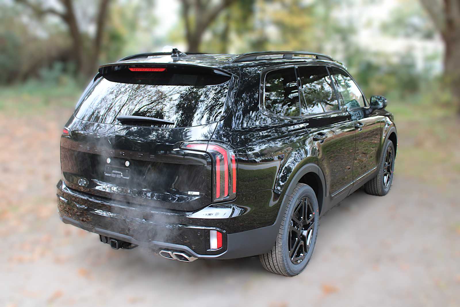 2025 Kia Telluride EX X-Line photo 6