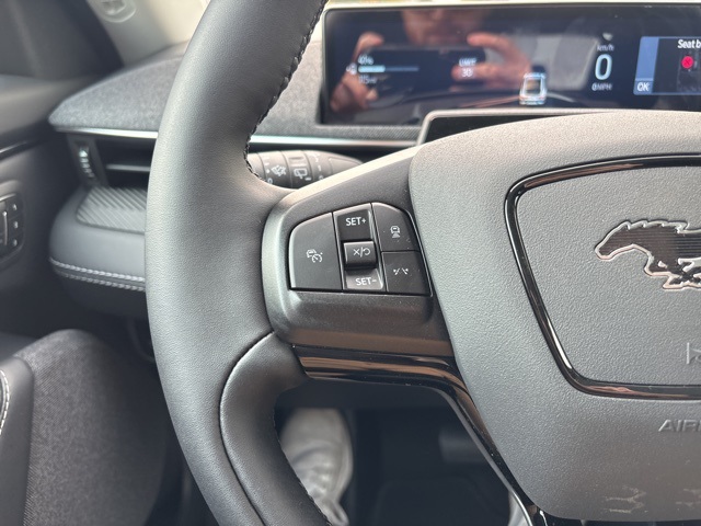2025 Ford Mustang Mach-E Premium photo 15