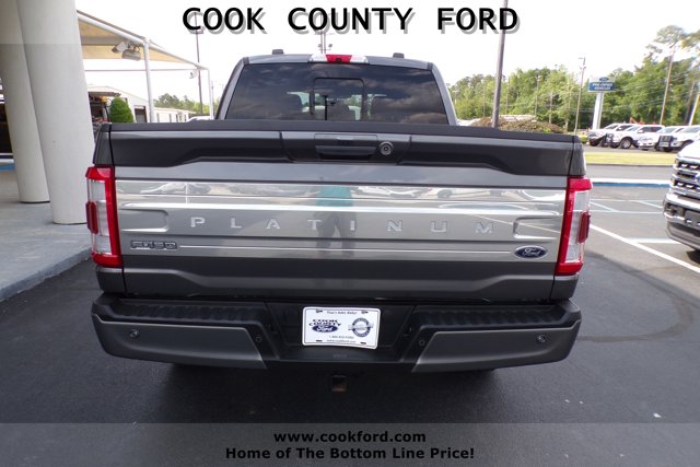 2022 Ford F-150 Platinum photo 10