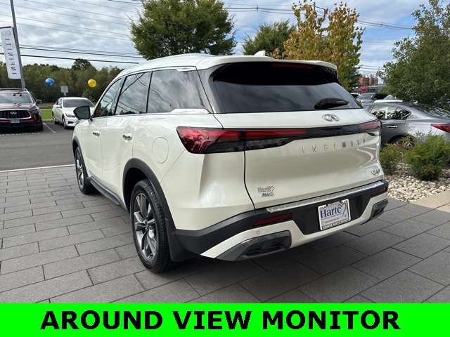 2022 Infiniti QX60 Luxe photo 5