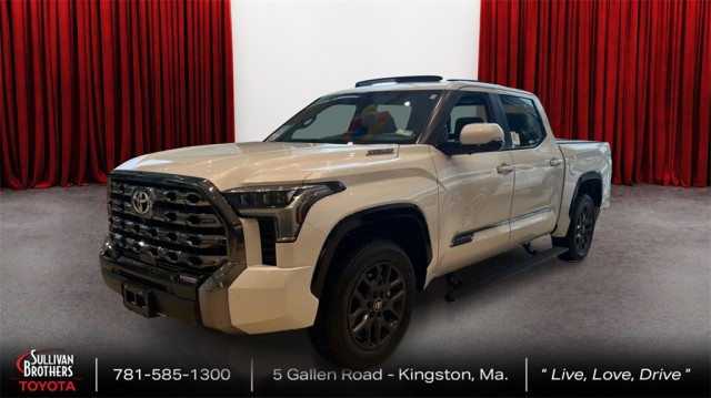 2025 Toyota Tundra i-FORCE MAX Platinum i-FORCE MAX
