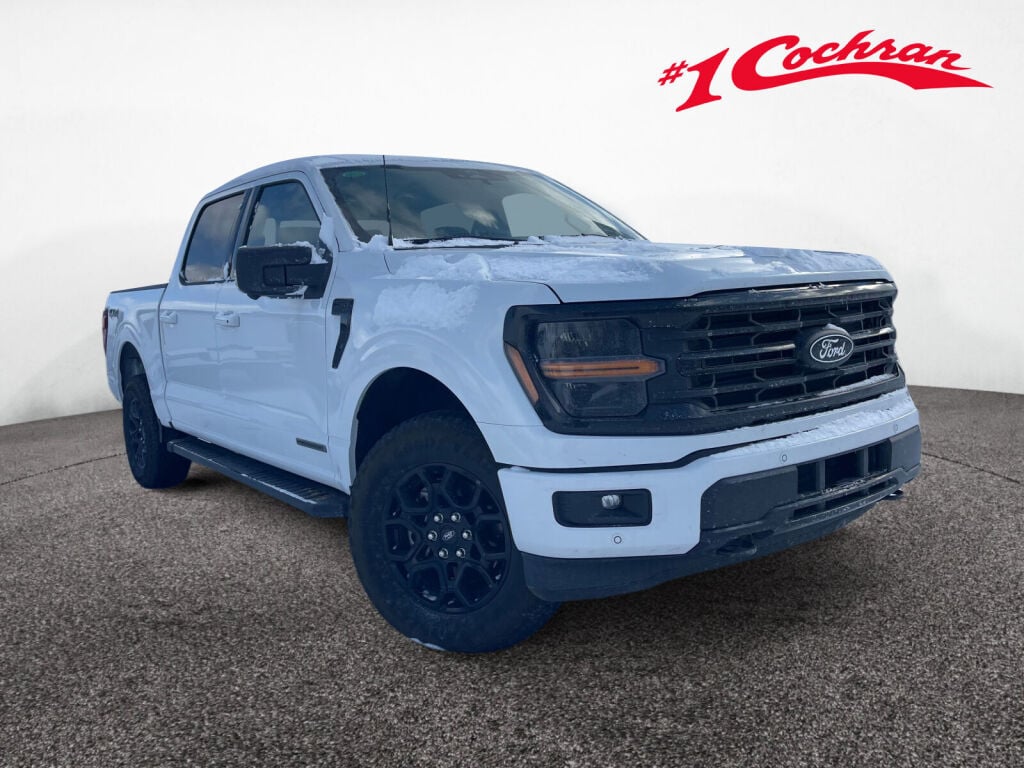 2025 Ford F-150 XLT's photo