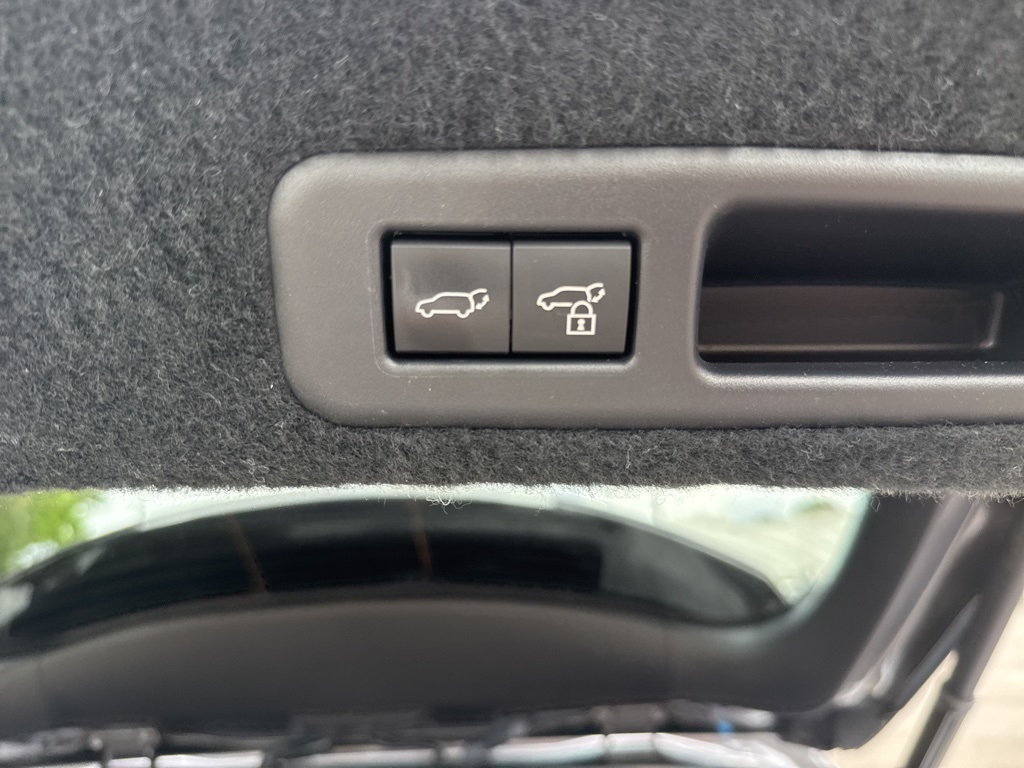 2022 Lexus RX 350 photo 25