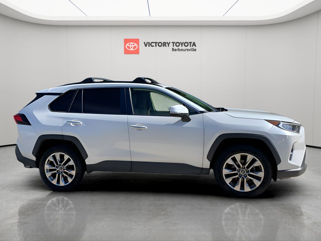 2019 Toyota RAV4 Limited photo 2