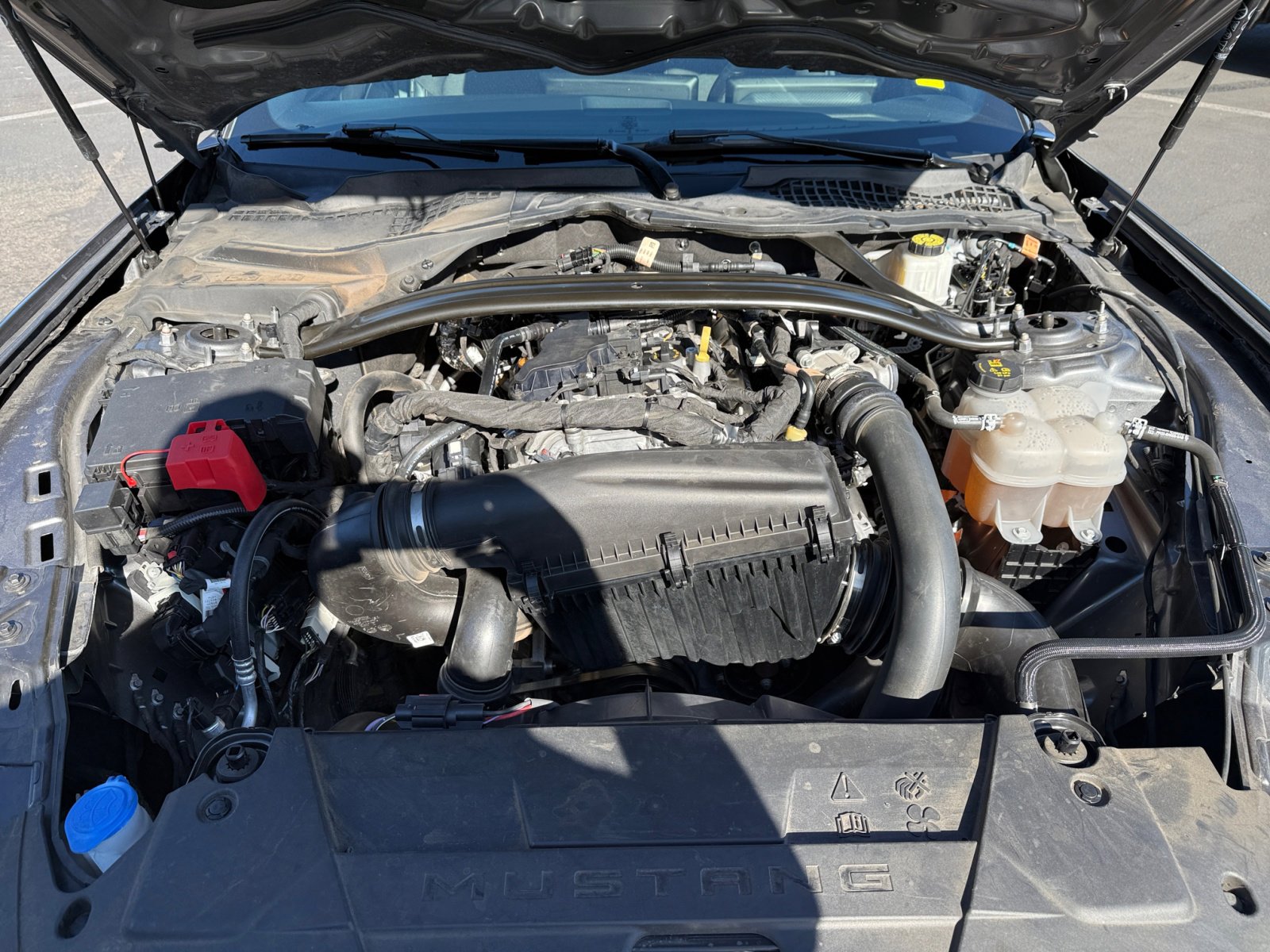 2024 Ford Mustang EcoBoost photo 20