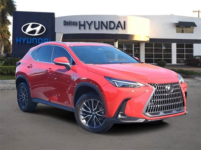 2024 Lexus NX 250's photo