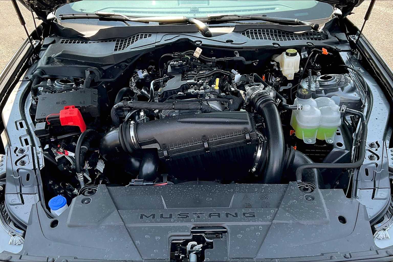 2025 Ford Mustang EcoBoost Premium photo 14