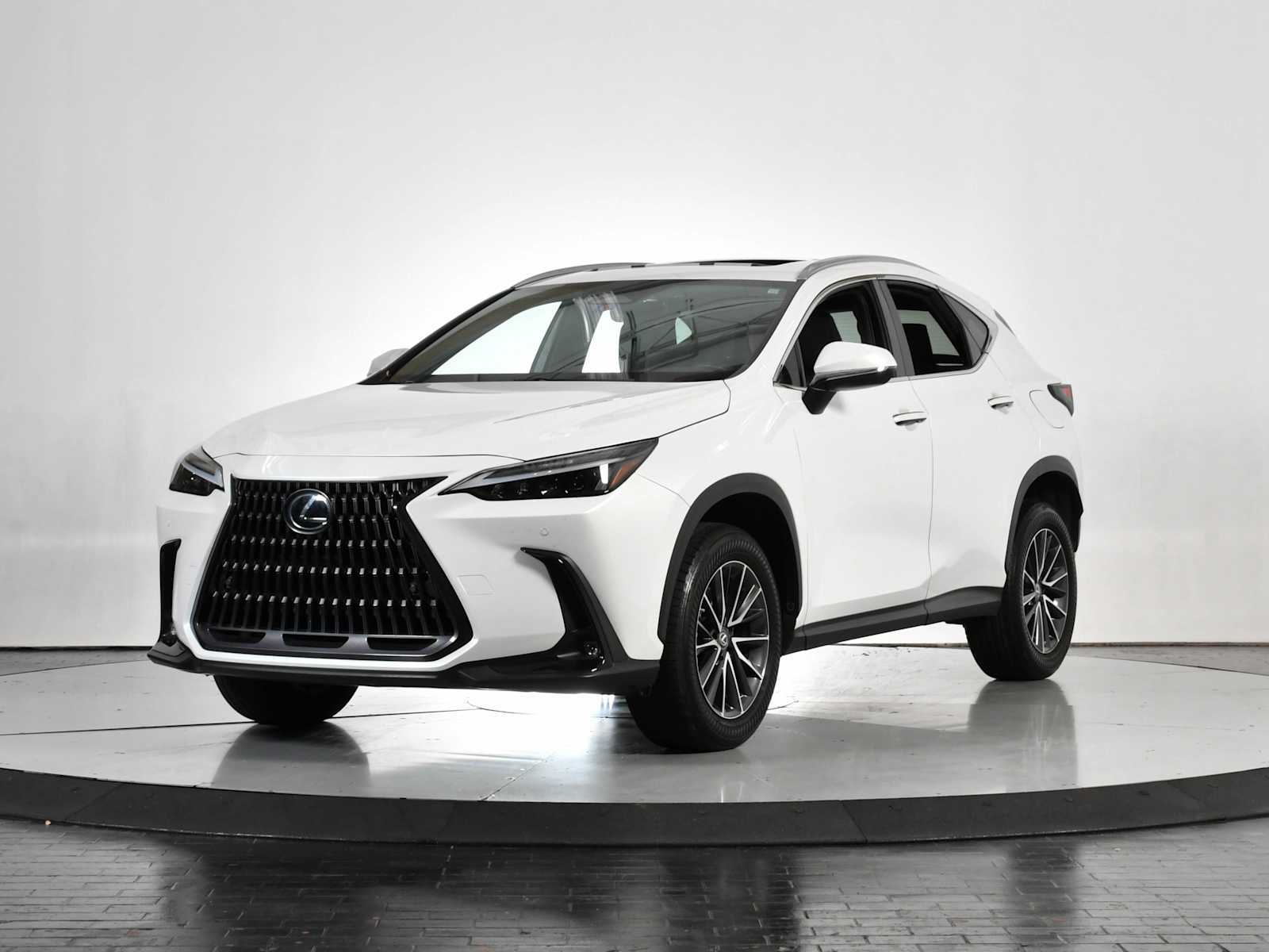 2023 Lexus NX 350's photo