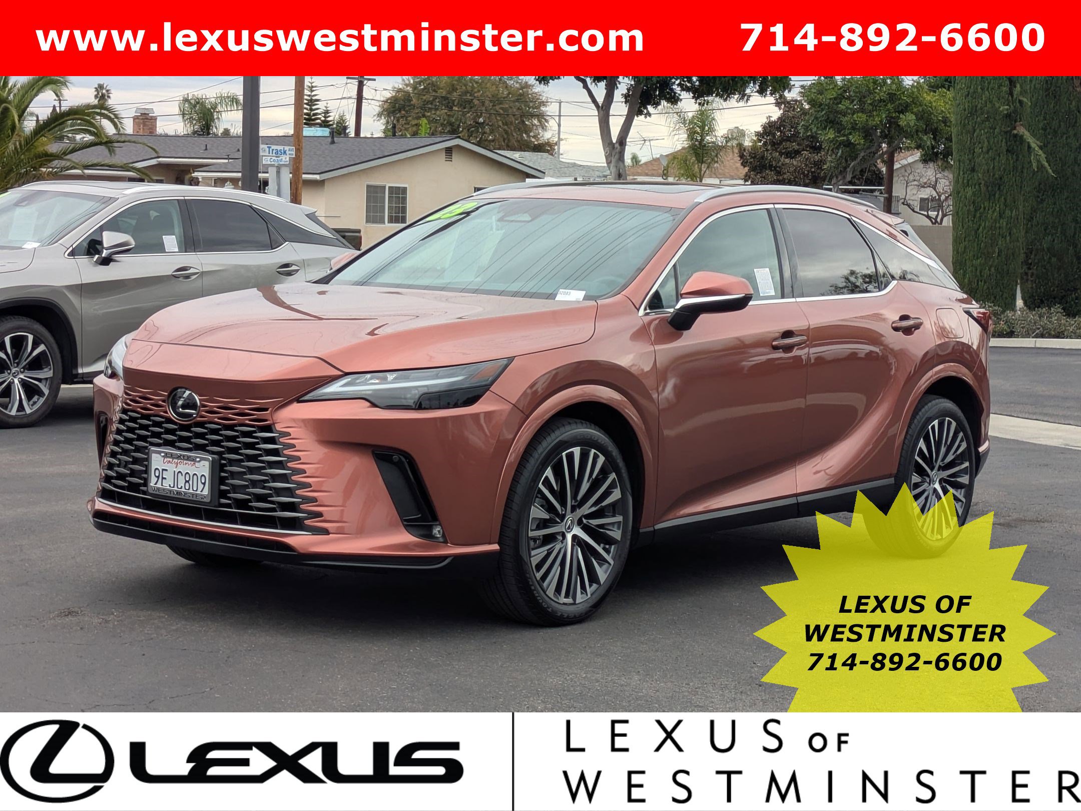 2023 Lexus RX 350's photo