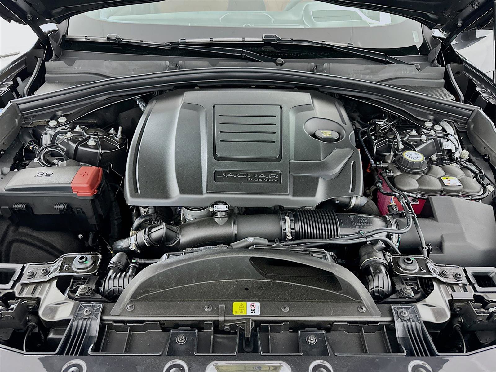 2026 Jaguar F-PACE P250 R-Dynamic S photo 25