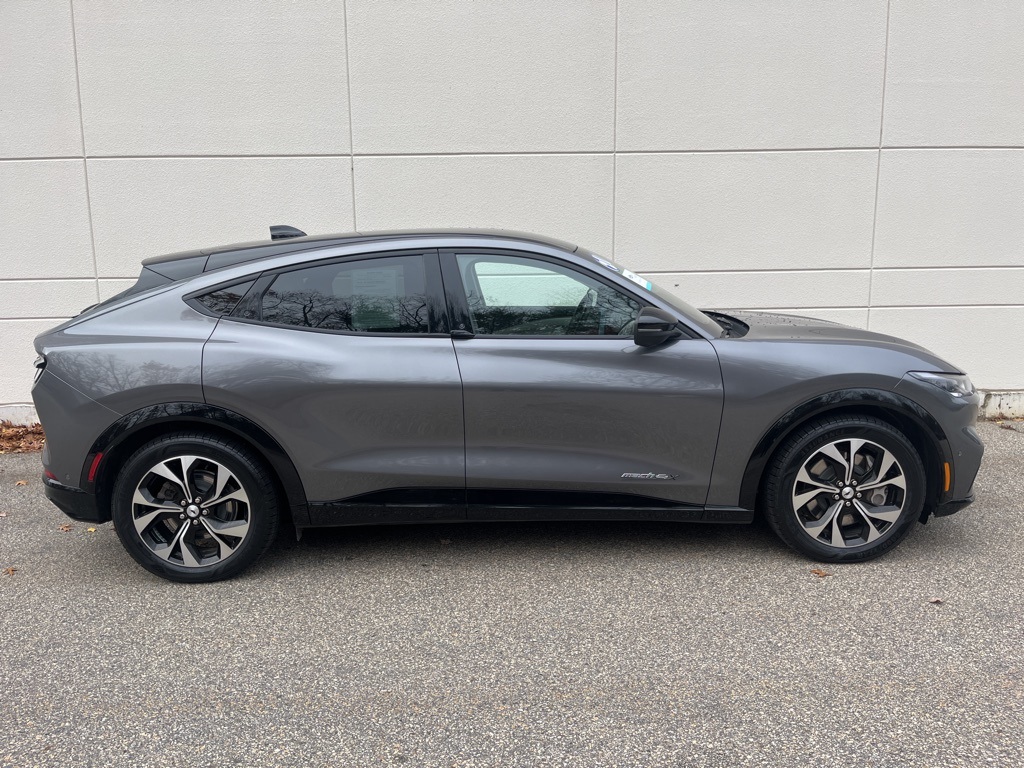 2021 Ford Mustang Mach-E Premium photo 3