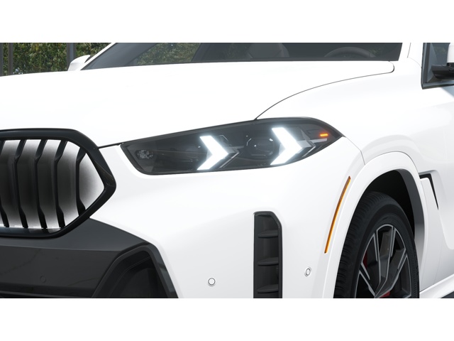 2026 Bmw X6 xDrive40i photo 5