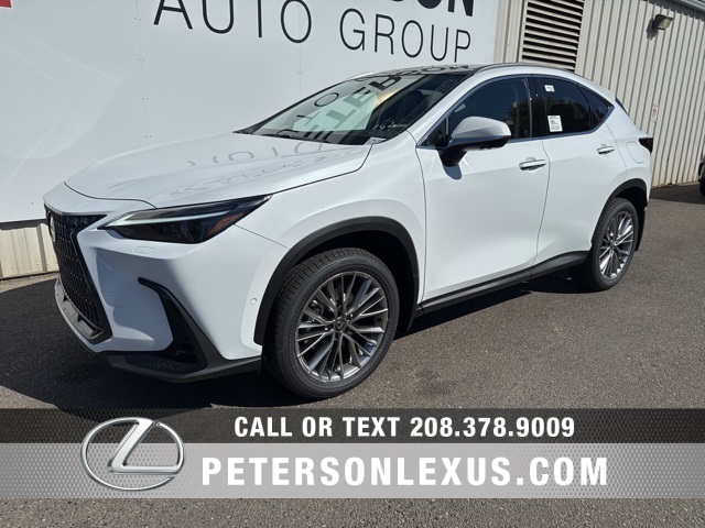 2026 Lexus NX 350h Luxury AWD photo 6