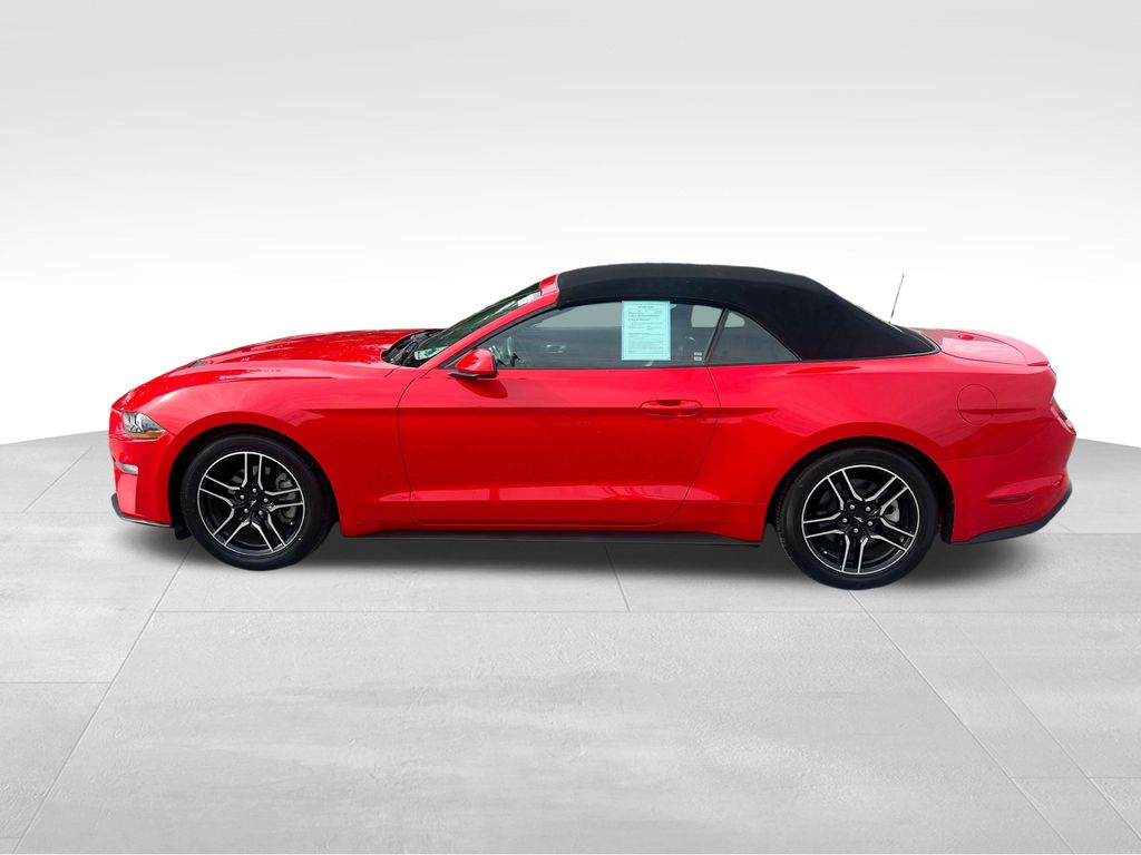 2022 Ford Mustang EcoBoost Premium photo 2