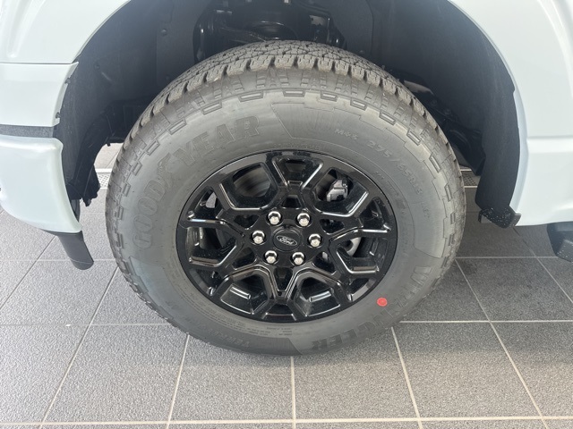 2025 Ford F-150 XLT photo 13