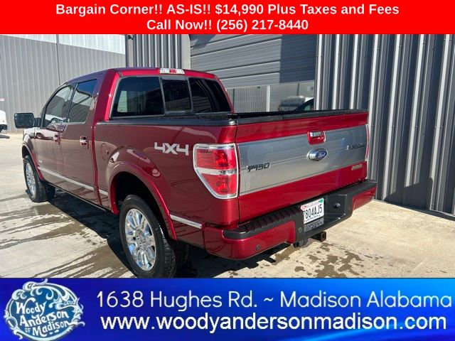 2013 Ford F-150 Platinum photo 2