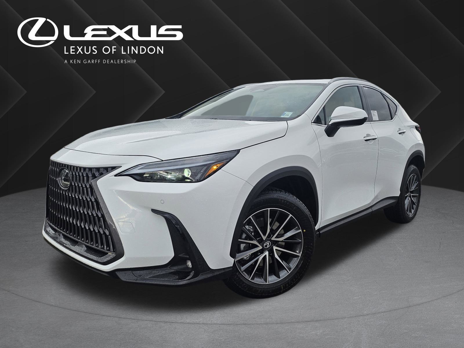 2026 Lexus NX 350's photo