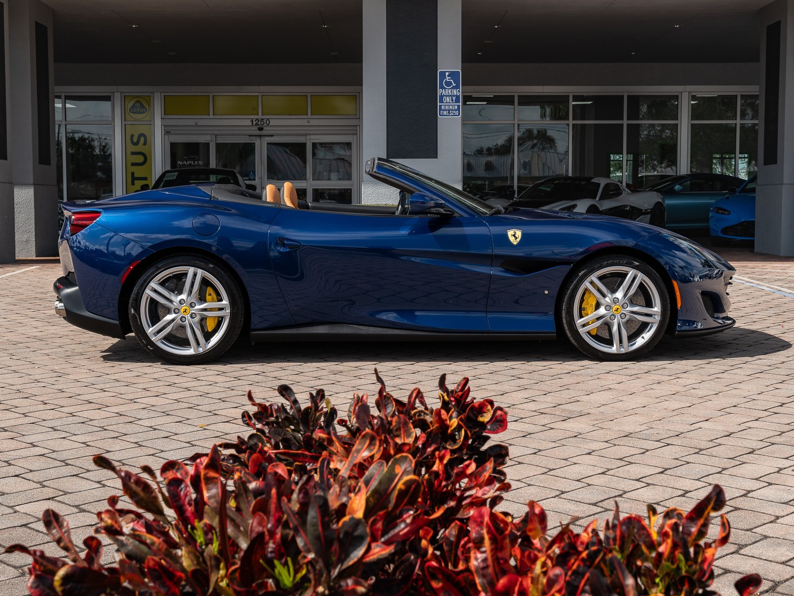 2019 Ferrari Portofino photo 20